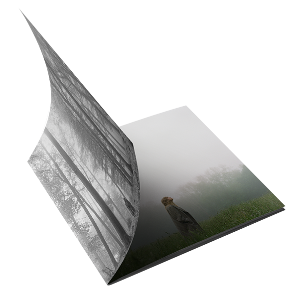 the “in the trees" edition deluxe cd booklet